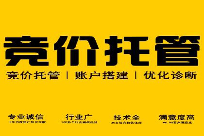 某电商平台的SEM策略与效果展示